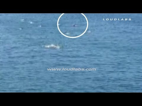 Great White Shark Attack "CAUGHT on CAMERA" / Manhattan Beach Pier RAW FOOTAGE