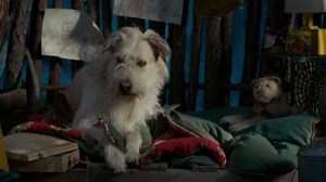 “Stranger Things” Star Reveals What Happened to the Byers Family’s Dog, Who Vanished After Season One