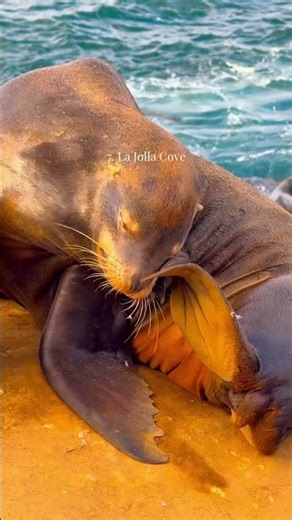 SUBSCRIBE FOR BUCKET LIST TRAVEL! Visiting San Diego? Here's 10 epic things to do!