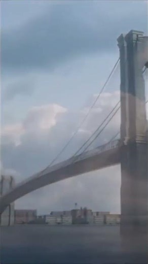 Yello Blue Green Shorts#