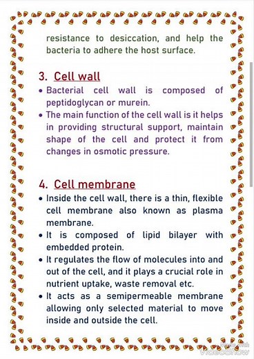 Structure of bacteria ll Botany ll Bsc, Msc