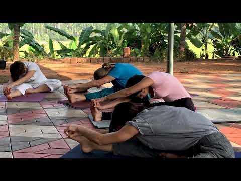 Hormonal Yoga Therapy | a complete practice for hormonal balance | Happy Hormones - Happy You
