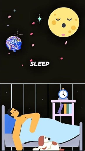 Why Effective Sleep Is a Superpower for Your Brain