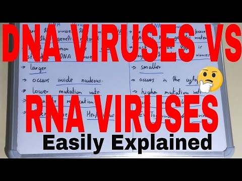 dna virus vs rna viruses|difference between dna viruses and rna viruses|dna virus and rna viruses