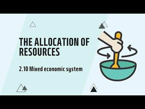 IGCSE Economics: 2.10 Mixed economic system (Updated for 2027)