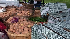 The Lumbee Tribe of N.C. Drive-Thru COVID-19 Testing is underway at the Rock Church of God at 2209 on West Carthage Road in Lumberton, NC. The testing is available from 10:00 am through 1:00 pm. To pre-register online for an appointment at a test site, visit the following link: http://lumbeetribecovidtesting.com If you need assistance with online registration, contact the Lumbee Tribal Office at (833) 684-0592. Onsite registration is also available, but does take longer. At each location, we wil