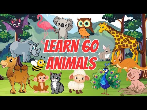 Learn Animal Names with Fun Animals | Best Video for Toddlers”