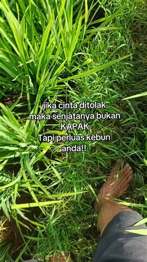 #mekanik #excavator #operator #alatberat | muhmd_eddy_motovlog