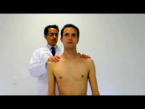 Prueba para el músculo trapecio - Trapezius muscle test