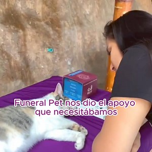En Funeral PET, sabemos lo importante que es despedirse de una mascota. Conoce nuestro proceso y únete a nuestra comunidad para compartir tus experiencias. 🐾❤️ #MomentosFuneralPET | Funeral Pet Colombia
