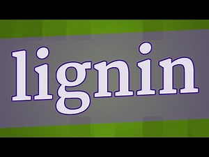 LIGNIN pronunciation • How to pronounce LIGNIN