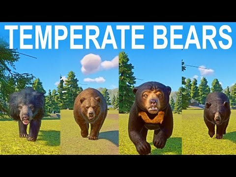 Temperate Bears Speed Race in Planet Zoo included Black Bear, the Sun Bear, the Grizzly Bear