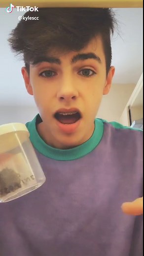 Hatching Indian Stick Insect Eggs - What to Expect