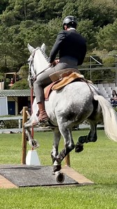 208K views · 4.7K reactions | Working Equitation lusitano Hialino & Rodrigo Batalha 2024 speed test #equestrian #horseriding #horse #equitation | Magdalena Dudzin | Facebook