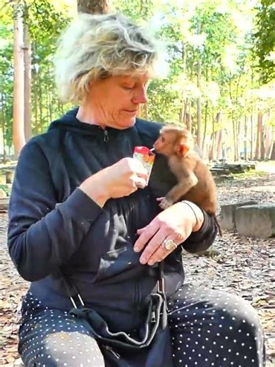 Lovely lady monkey feeding New abandoned that just found in wild !
