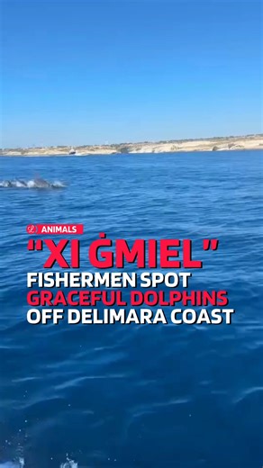 118K views · 924 reactions | A group of local fishermen got more than...