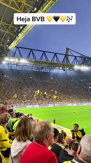 Heja BVB💛🖤🎶#bvb #bvb09 #signalidunapark🖤💛 #borussia #borussiadortmund #westfalenstadion #dortmund #echteliebe #diegelbewand #süd #hoffenheim #hejabvb #fans