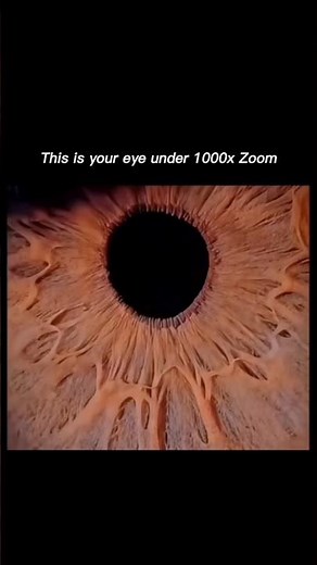 The Hidden World Inside Your Eye 🤯 #Eye #Iris #Microscope #Science #HumanBody #MacroPhotography