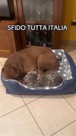 6.1K views · 191 reactions | SFIDO TUTTA ITALIA | lucaugolini.yoga | Facebook