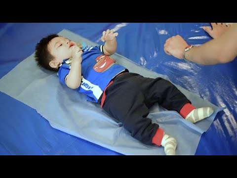 Functional Neurogenesis Stimulation Research