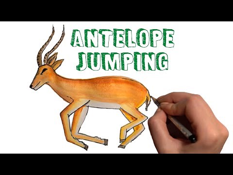 How to Draw an Antelope Jumping 🦌