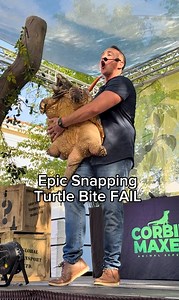 337K views · 6.3K reactions | Epic Snapping Turtle Bite FAIL  | Corbin Maxey | Facebook