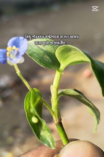 খুবই দরকার 😴😴😴