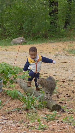 Big Kat & Smol Boy on a morning stroll 😅 #cats #barncat #rescuecat #farm #homestead #kitties #kids