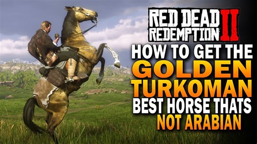 How To Get The Golden Turkoman! Best Horses That Arent Arabian! Red Dead Redemption 2 Horses [RDR2]