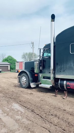 My first time bull haulin’ its an experience for sure. #379 #peterbilt #bullhauler #cattle #iowa #farmlife #truckin #leftlanegang #rodeo #cows #389