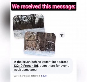 🚨 JUST RESCUED — TWO DOGS SAVED AFTER WEEKS IN THE WOODS 🚨 We were contacted on Instagram about a young shepherd mix who had been living in the woods for the last two weeks. We went out Thursday with no luck… but when we returned yesterday, we spotted him almost instantly. Then he disappeared… and came back with a friend. 💔 We messaged the original reporter and learned the second dog — a big blue-and-white pittie girl — has been out there since December 9th… possibly longer. Someone alerted a