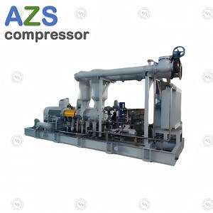 [Hot Item] Hazardous Gas Oil Free Screw Compressor