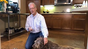 Watch How to Use Total Oral Care Spray by VetSmart Formulas on Amazon Live