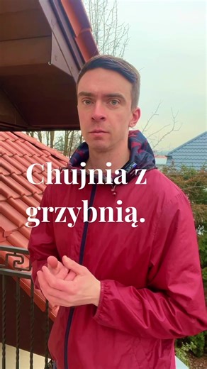 Useful Polish Phrases for Everyday Conversations