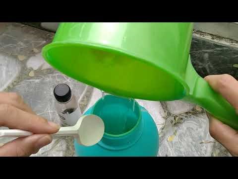 This One Hack Reduced My Aphids by 90% Overnight