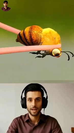 technical videos on Reels