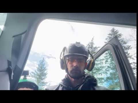 Guilty of Treeson Large Cottonwood Live Stream