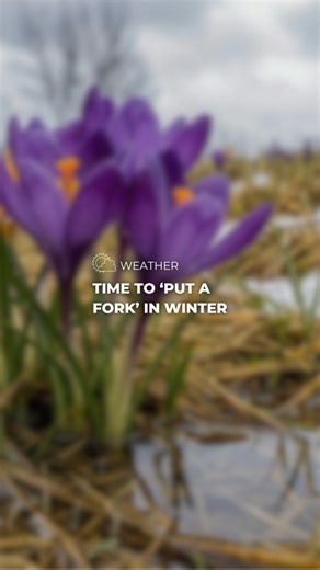 It’s time to “put a fork” in winter.🍴 Stay up to date on the latest with the FOX 12 Weather app. | FOX 12 Oregon