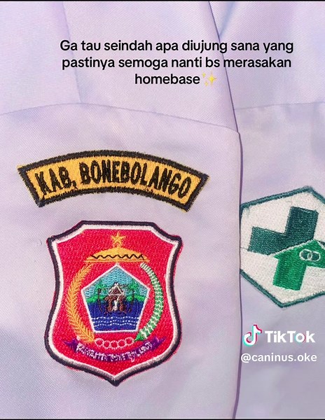 Nakes ga bercerita tbtba ganti logo kab😭 #nusantarasehatindividual #penugasankhususkemenkes #kemenkesri