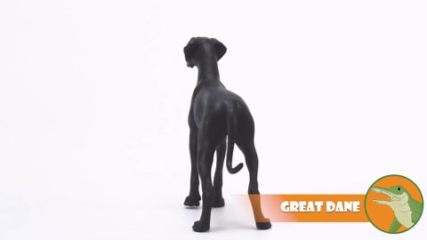 Safari Ltd. Great Dane Figurine - Detailed 5" Plastic Dog Figure - Toy for Boys, Girls, and Kids Ages 3+