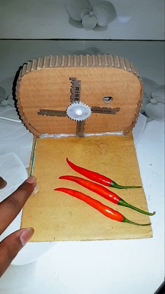 chilli 🌶️☠️ cutter machine at home #shorts #chilimachine