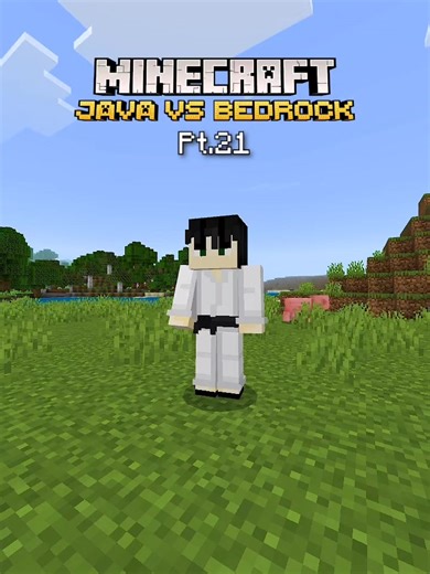 Minecraft Bedrock Vs Java Mods Comparison - Part 21