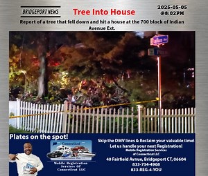 8.4K views · 30 reactions | Report of a tree that fell down and hit a house at the 700 block of Indian Avenue Ext. | DoingItLocal.com | Facebook