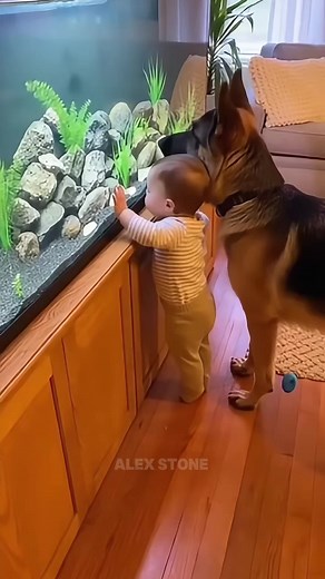 Max: The Dog That Saved the Day
