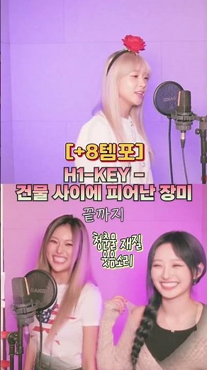 하이키 "건물 사이에 피어난 장미" 8배속 ver. ?!