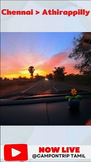 You Won’t Believe This Orange Sunset! 🌅 Nature’s Magic in Real Life!