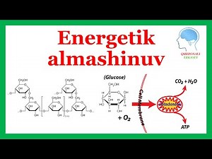 Energetik almashinuv || Dissimlyatsiya || Katabolizm
