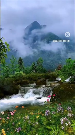 please fast viewer 🙏