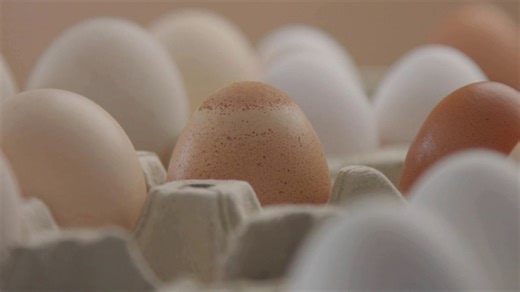 Residents turn to backyard farming as Tractor Supply gears up for baby chick season