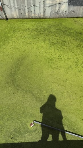 Unique Phenomenon: Water Closing Surface Gap in Abandoned Building